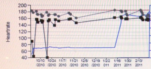 Yearly graph as of Feb 25