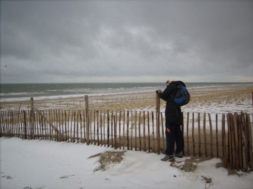 Frozen beach