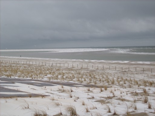 Frozen beach